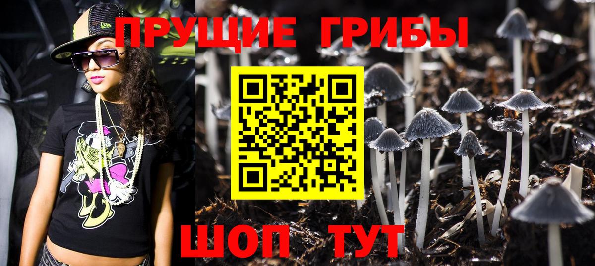 Галлюциногенные грибы Psilocybine cubensis  Вход с VPN  Магнитогорск 